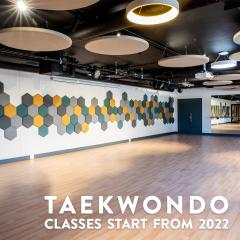 [Upcoming] Taekwondo Classes